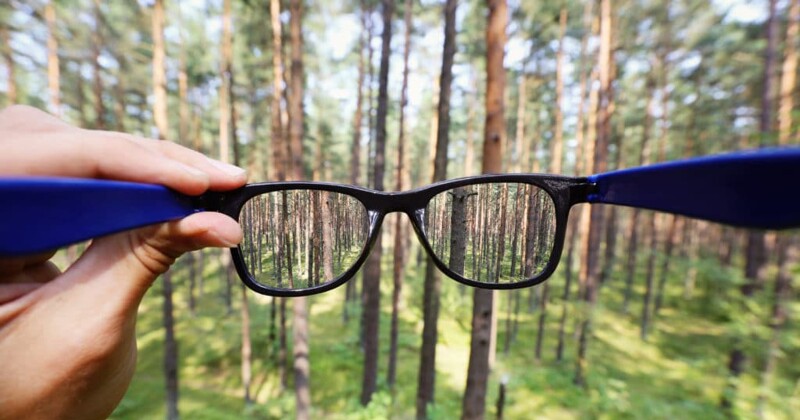 Какие виды искусственных хрусталиков существуют?